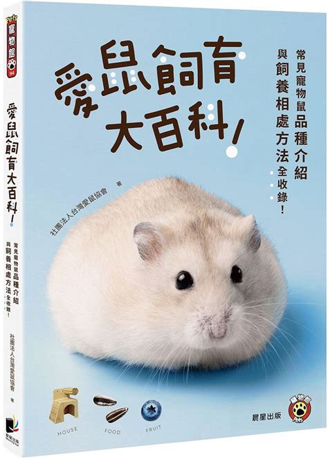 寵物老鼠種類|愛鼠飼育大百科：常見寵物鼠品種介紹與飼養相處方法全收錄！